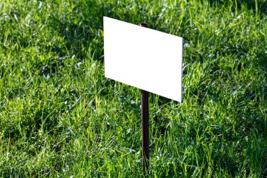 Yeşil çimenlik arka planda boş beyaz işaret modeli - seçici odaklı yakın plan