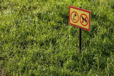 Kimyasal uygulama ile sarı işaret Yeşil çimenlik arka planda köpek yok - Seçici odaklı yakın plan