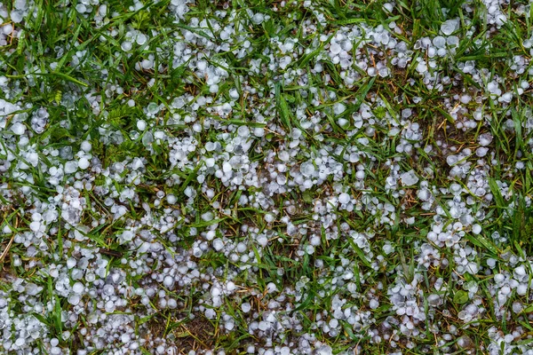 Hielo blanco granizo en la hierba verde después de la tormenta de verano — Foto de Stock