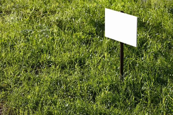 Blank white sign mockup on green lawn background - close-up with selective focus — Stock Photo, Image