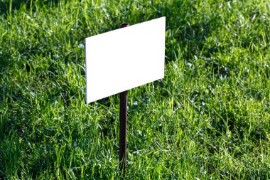 Yeşil çimenlik arka planda boş beyaz işaret modeli - seçici odaklı yakın plan