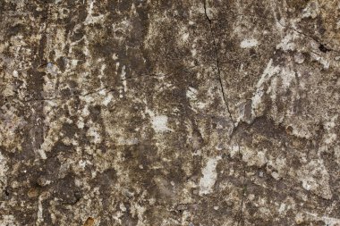 kaba ve kirli beton zemin - düz doku ve arkaplan