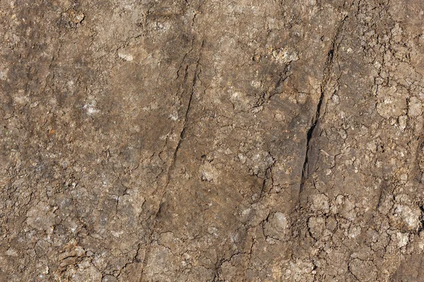 Dry rammed bare earth surface under direct sunlight - full frame background and texture — Stock Photo, Image