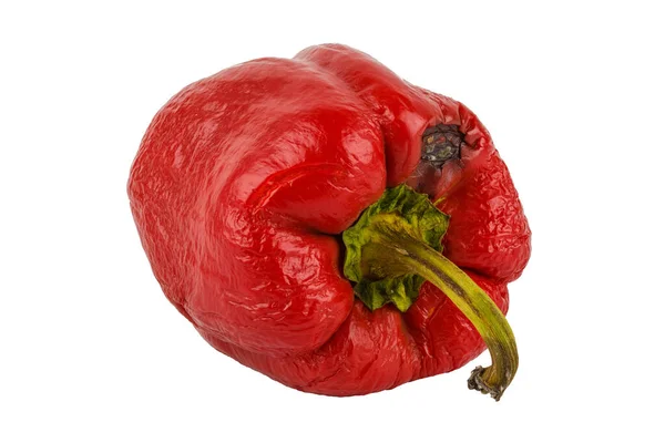 Rutten röd bell pepper isolerad på vit bakgrund — Stockfoto