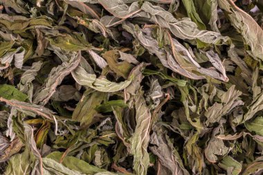 Doğal kurutulmuş nane yapraklarının tam kare makro arkaplanını kapat