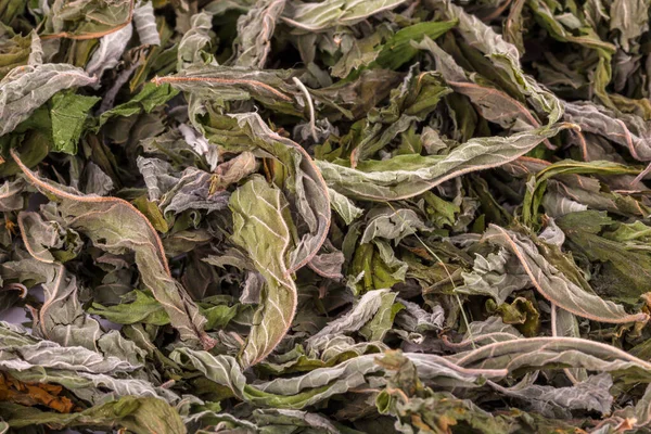 Primer plano marco completo macro fondo de hojas de menta secas naturales — Foto de Stock