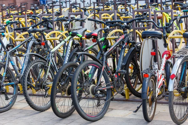 Tula, Rusya - 2 Ağustos 2021: Halka açık bisiklet parkında yaz güpegündüz birçok bisiklet sıralaması.