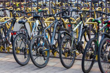 Tula, Rusya - 2 Ağustos 2021: Halka açık bisiklet parkında yaz güpegündüz birçok bisiklet sıralaması.