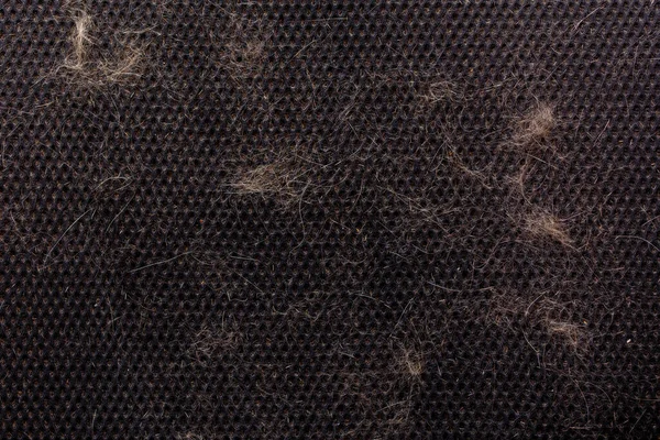 Kattenhaar vervuild zwart lucht mesh bureaustoel voldoende - close-up volledig frame uitzicht — Stockfoto