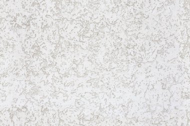 Beyaz kabuklu böcek mineral alçı kaplamasının kusursuz dokusu.