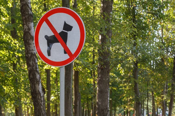 Inga hundar tillåtna tecken på stolpe i sommar grön park skog - närbild med selektivt fokus och bakgrund bokeh oskärpa — Stockfoto