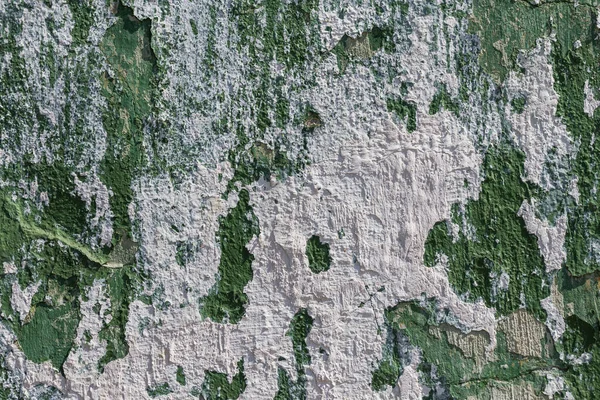 Beyaz alçı lekeli yeşil boya duvarını soyan eski püskü elbiseler.