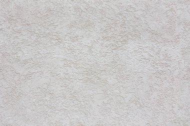 Beyaz kabuklu böcek mineral alçı kaplamasının kusursuz dokusu.