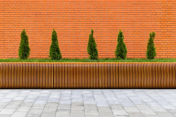 Rad med fem små koniska thuja träd framför röd tegelvägg och parametrisk plywood bänk — Stockfoto
