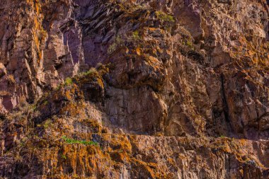 Rugged rock formation surrounded by resilient plants in a desolate mountainous region. Daytime light accentuates textures and contrasts in this outdoor landscape.