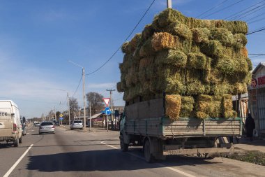 A truck heavily loaded with hay bales a road in Sokuluk, Kyrgyzstan - March 23, 2024