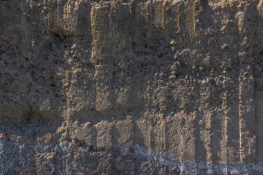 Rough, uneven concrete surface embedded with small pebbles and showing signs of age and wear under tangential harsh sun light showing all imperfections.