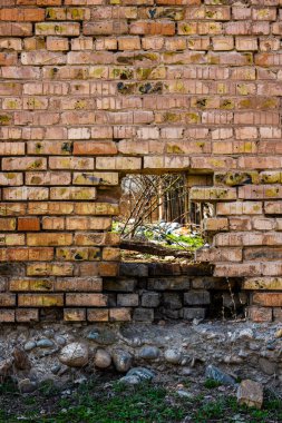 A section of an old brick wall with rectangular hole revealing a glimpse of the outdoors with some branches. The weathered texture of the wall displays cracks and damage, with a mix of brown and yellowish tones.