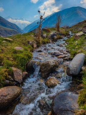 Serene stream flows gently through rocky terrain in a mountainous region. Tranquil atmosphere captures the peaceful essence of nature during daytime outdoors.