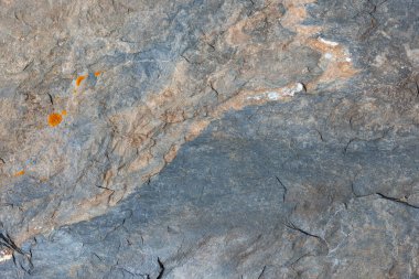 Close-up view of rugged rock surface adorned with vibrant lichen. Natural textures and colors create a serene outdoor scene under daylight.