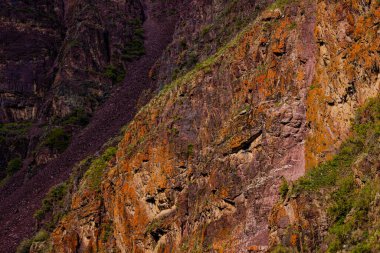 Rugged sedimentary rock face displays various textures and colors in a natural outdoor environment. Sparse vegetation adds to the dramatic and austere mood of the scene.