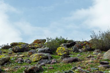 Serene hillside features many rocks of different sizes, some adorned with lichen. Calm natural environment creates a peaceful atmosphere during daytime.