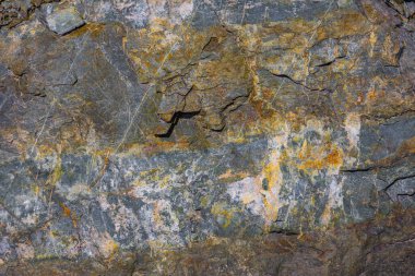 Ağır şekilde parçalanmış bir metamorfik kaya yüzeyinin detaylı dokusu doğal gün ışığı altında belirgin sarı ve kahverengi mineral lekeli gri renkler sergiliyor..