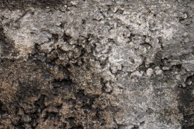 Islak beton bir yüzeye yakın çekim, kısmen doldurulmuş ve doldurulmamış bölgelerle eşit olmayan bir dokuyu gösteriyor..