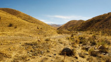 Kurak, sarı-kahverengi tepeler ve kayalık arazi soluk mavi bir gökyüzü altında, uzakta karla kaplı dağlar.
