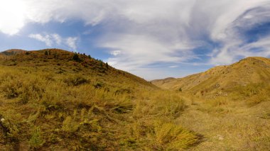 Kuru sarı otlar güneşli sonbahar gününde eteklerle kaplı geniş açı manzaralı.