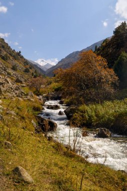 Hızla akan bir dağ nehri. Beyaz akıntılar vadiyi oyuyor. Toprak yürüyüş yollarıyla çevrili..