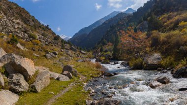 Geniş bir çekim, yeşil ve sarı bitkilerle kaplı sarp kayalıklar tarafından çevrelenmiş kayaların üzerinden akan canlı bir dağ nehri yakalar..