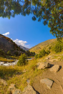 Güneşli bir dağ vadisine bakan ardıç ağaçlarının dallarından bir manzara. Dağılmış yeşil ağaçlar ve kayalarla çevrili, vadi zemininde berrak bir nehir akıyor..