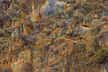 Engebeli kaya oluşumu liken büyümesiyle süslenmiş çeşitli doku ve renkler sergiler. Manzara, gündüz vakti dağlık bir bölgede doğal bir doğa manzarasının kurak ve dünyevi havasını yakalar..