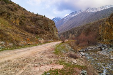 Serene nehri Kırgızistan 'daki engebeli dağların arasından yavaşça akar. Huzurlu manzara doğada huzuru ve yalnızlığı çağrıştırıyor..