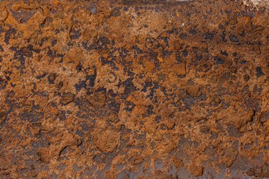 Paslı metal yüzey parlak gün ışığında karmaşık dokular ve canlı renk değişimi gösterir. Yıpranmış görünüş, taşralı, kaba bir ruh hali uyandırıyor. Endüstriyel temalar için mükemmel..