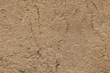flat adobe plastered wall under direct sun light texture and full-frame background