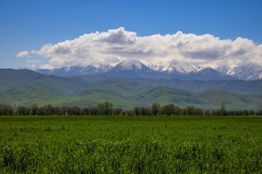 Sakin yeşil bitkilerin üzerinde yükselen görkemli dağların nefes kesici manzarası. Huzurlu atmosfer, gündüz vakti huzur ve doğa ile bağlantı duygularını davet eder..