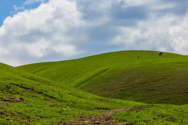Çimenli tepeler boyunca uzanan sarmal patika, uzak atlar ve arka planda dağlar.