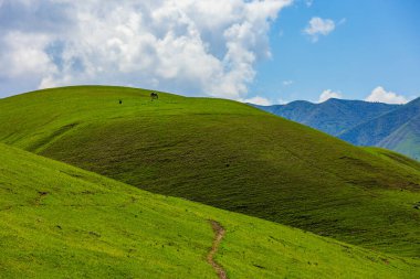 Çimenli tepeler boyunca uzanan sarmal patika, uzak atlar ve arka planda dağlar.