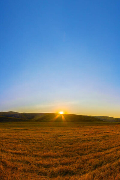 Широкий обзор захватывает поле с золотой соломенной щетиной, оставшейся после сбора урожая, растянувшейся к горизонту. Солнце восходит над далекими, низкими холмами, бросая лучи в ясное голубое небо.