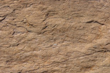 Rugged beige sedimentary rock formation stands prominently in a natural outdoor setting. Textured surfaces and earthy colors create a striking visual during bright daylight.