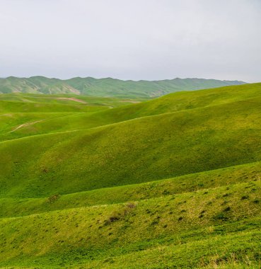 Huzurlu manzarada yemyeşil otlarla kaplı yuvarlanan tepeler yer alıyor. Gündüz ışığı bu doğal ortamın huzurlu atmosferini arttırır..