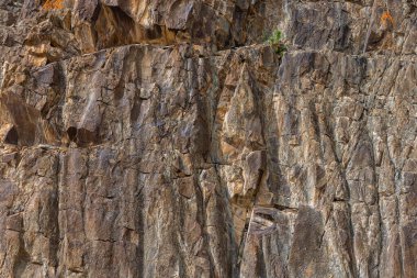 Engebeli kaya yüzeyi, dağlık bir açık arazinin ortasında dimdik ayakta duruyor. Görünür bitkiler sade manzaraya hayat katar, gündüz boyunca doğal direnç gösterir..