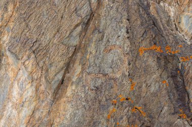 Canlı turuncu liken ve üçgen yapısı olan pürüzlü tortul kaya - doku ve tam çerçeve arkaplan