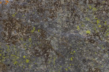 Engebeli gri kaya doğal açık havada canlı liken büyümesi sergiliyor. Gündüz ışığı dokulu yüzeyleri güçlendirir, doğal güzellik ve esneklik gösterir..