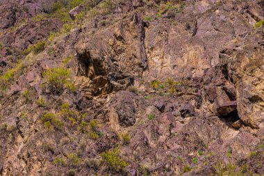 Engebeli kayalık arazi dayanıklı çöl bitkileriyle kurak araziye sahiptir. Kırgızistan 'ın dağlık bir bölgesinde gündüz vakti doğal ortamda doku ve renkler sergileniyor.