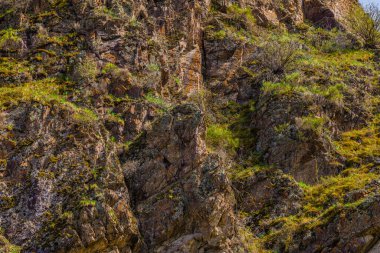 Engebeli kaya yüzeyi görkemli bir şekilde yükselir, doğal bir çevrede vahşi bitkilerle süslenir. Gündüz ışığı, dağlık arazinin topraksı tonlarını ve vahşi güzelliklerini vurgular..