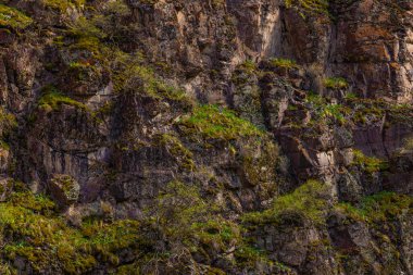 Engebeli kaya yüzeyi, dağlık bir bölgede canlı yosun ve çeşitli bitkiler sergiliyor. Doğal dokular ve toprak renkler gündüz vakti sakin bir açık hava atmosferi yaratır..