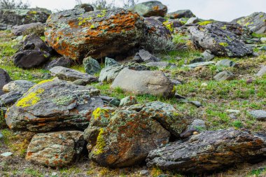 Çeşitli boylarda ve şekillerde sayısız kaya yeşil ve turuncu liken ile kaplıdır. Bu huzurlu dış mekan gündüz vakti kayalık arazinin doğal güzelliğini yansıtıyor..
